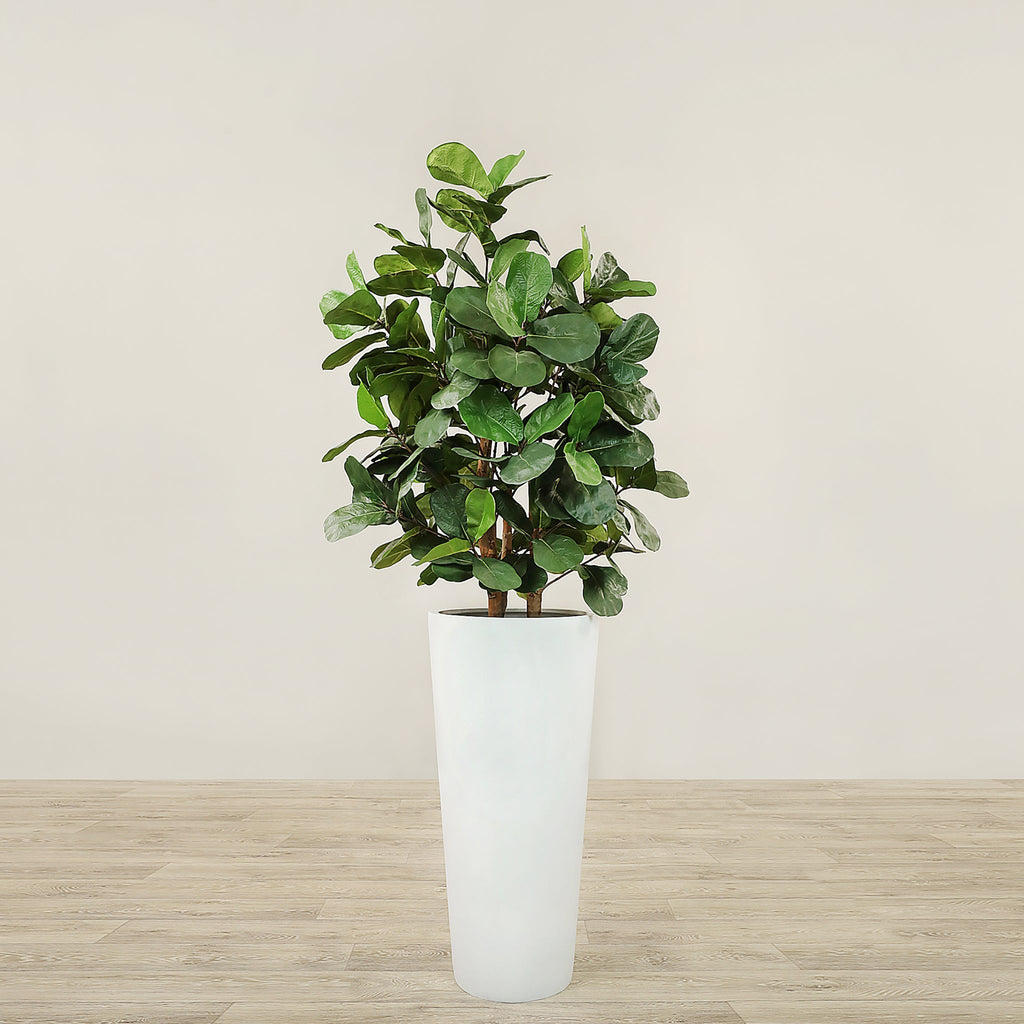 Artificial Fiddle Tree <br> 120cm