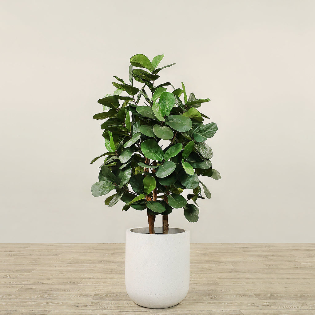 Artificial Fiddle Tree <br> 120cm