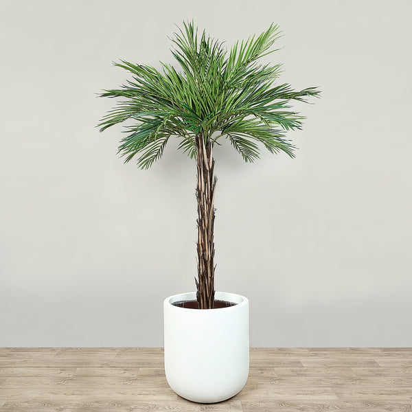 Artificial Phoenix Palm Tree <br> 180cm