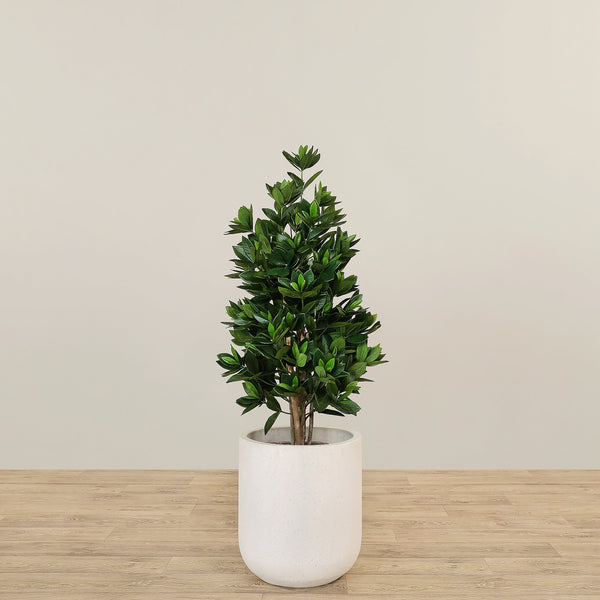 Artificial Sweet Link Tree Topiary 110cm