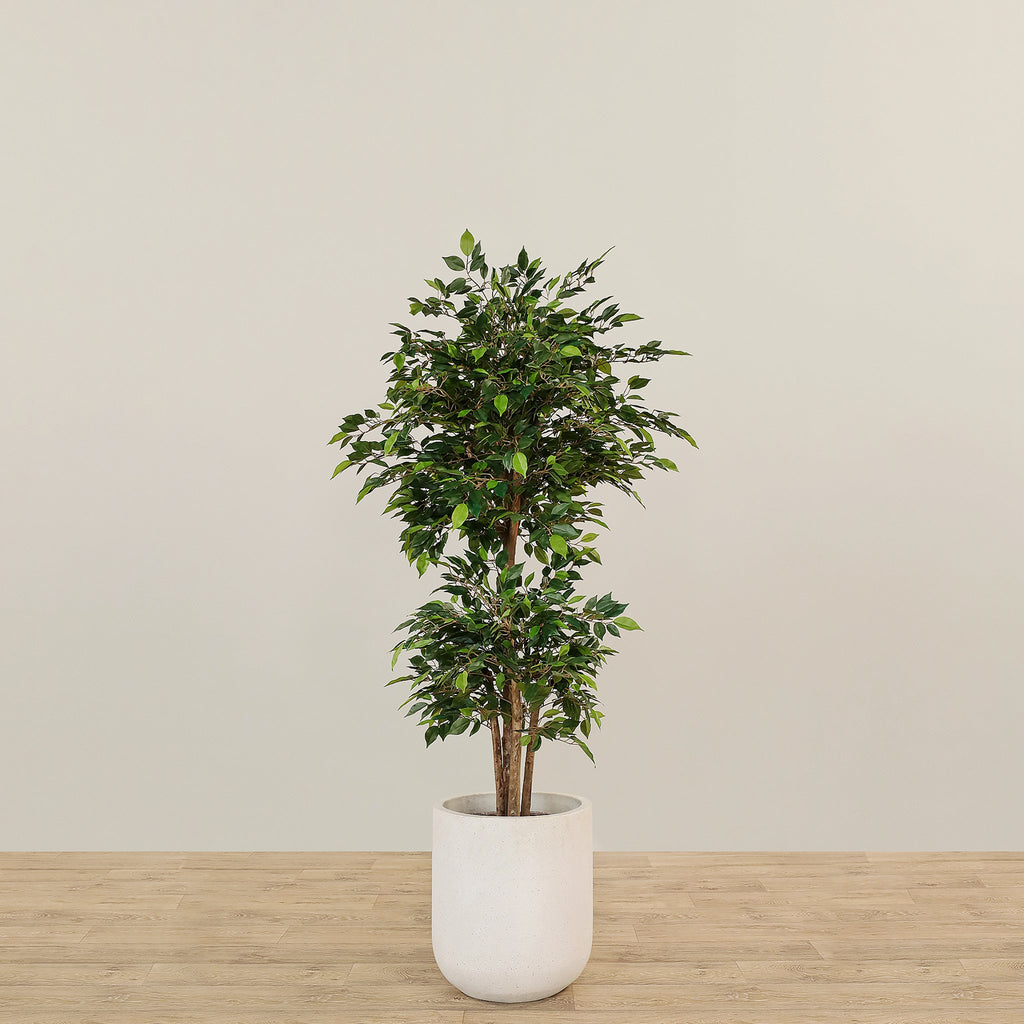 Artificial Mini Ficus Tree 150cm