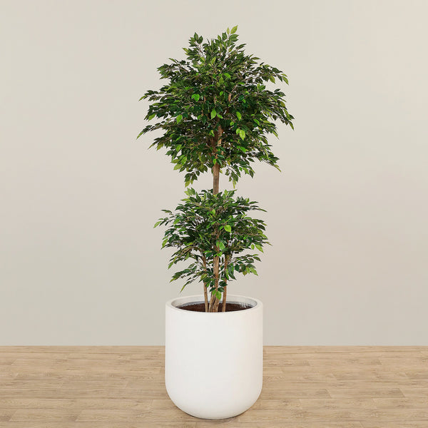 Artificial Mini Ficus Tree 210cm