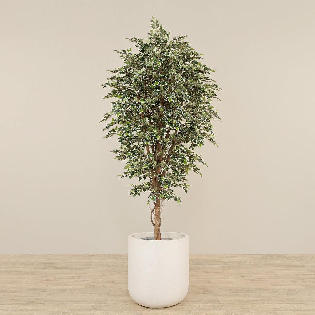 Artificial Mini Ficus Tree 210cm