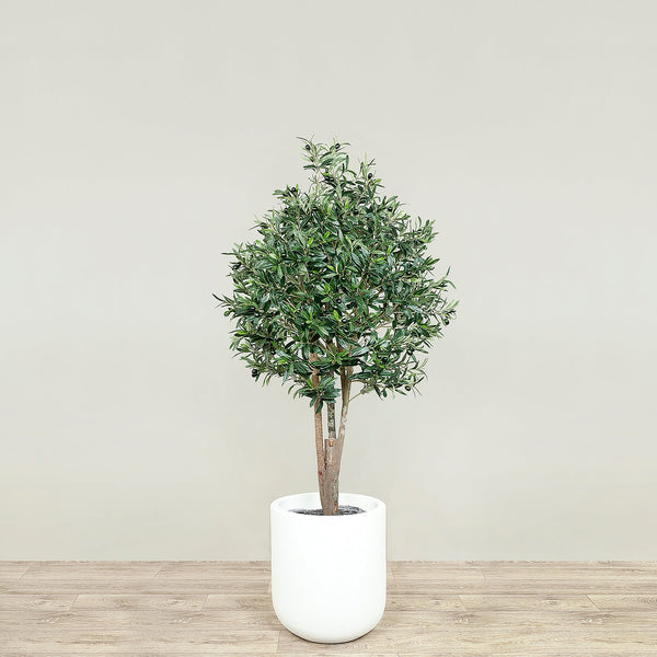 Artificial Olive Tree <br> 150cm