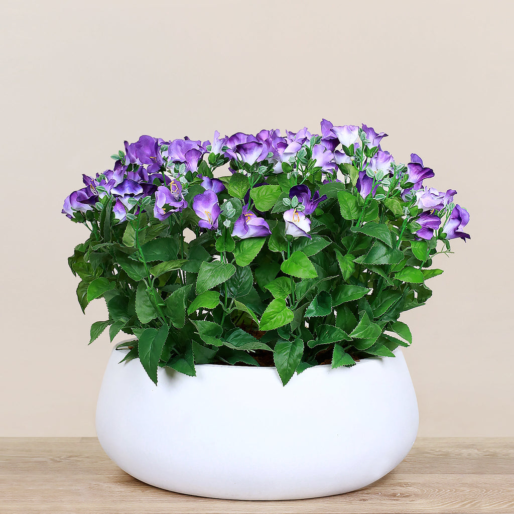 Artificial Torenia Arrangement