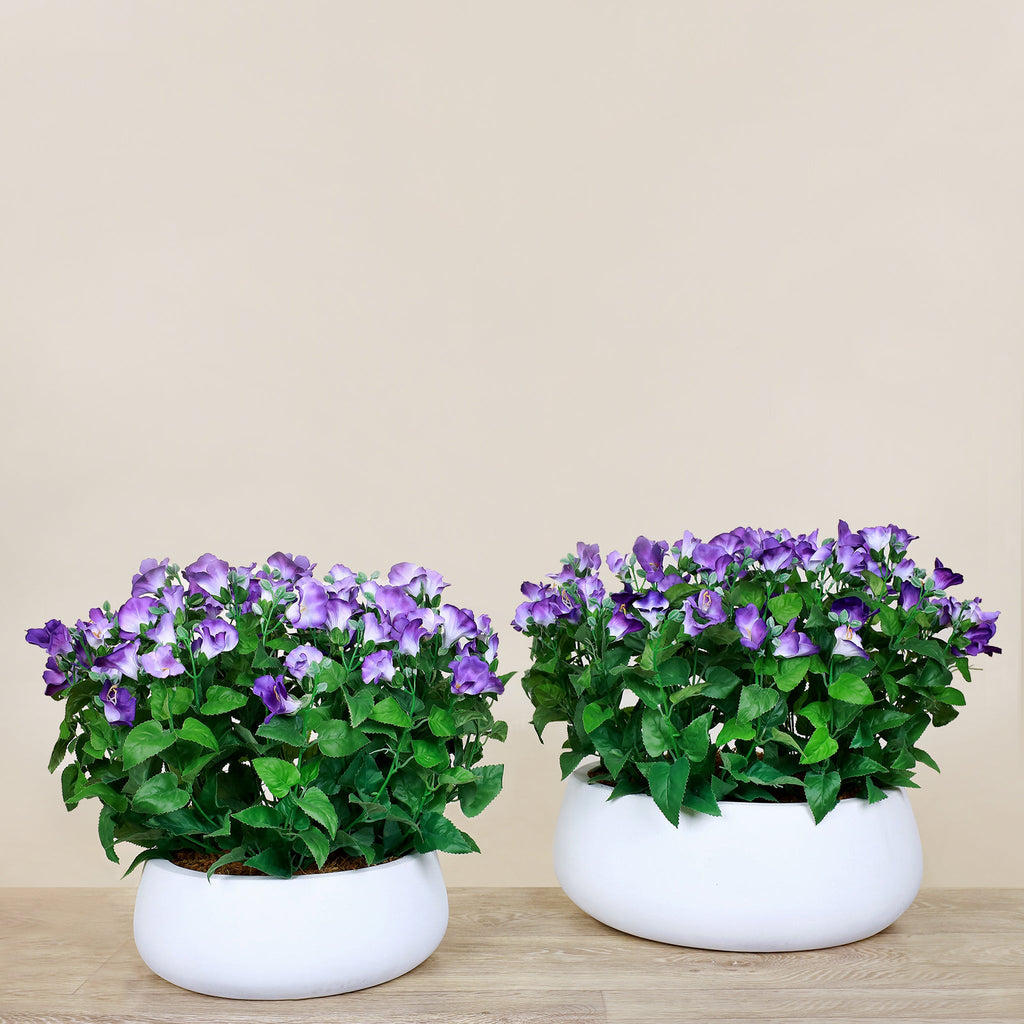 Artificial Torenia Arrangement