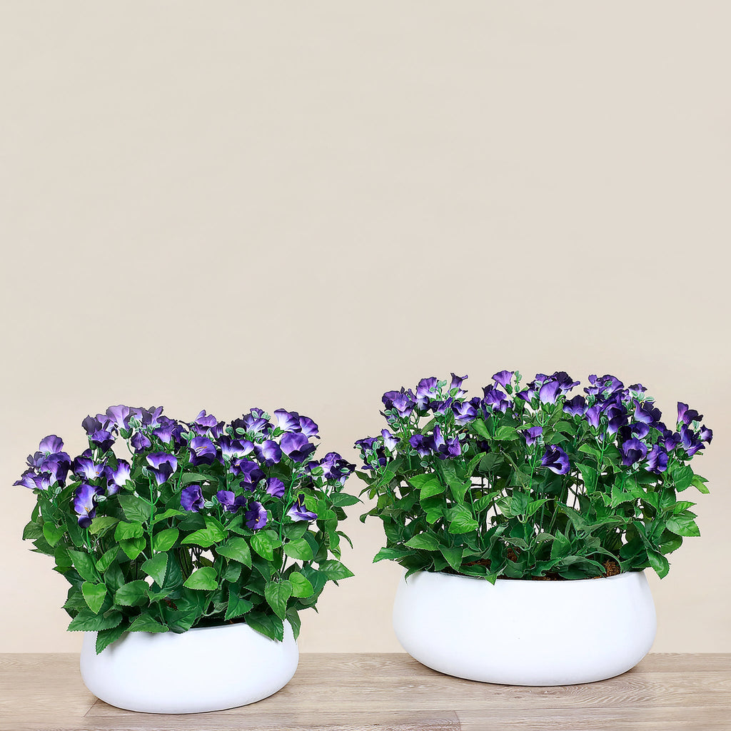 Artificial Torenia Arrangement