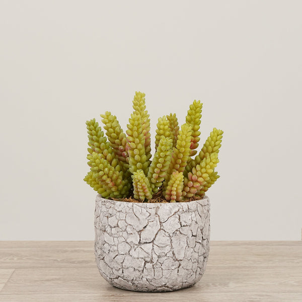 -Artificial Succulent Arrangement in Ceramic Vase-Bloomr