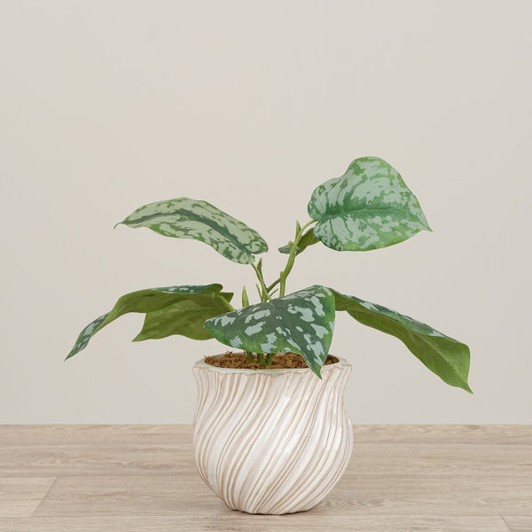 -Artificial Scindapsus Arrangement in Ceramic Vase-Bloomr