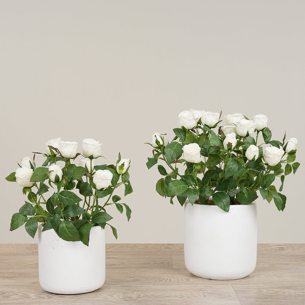 -Artificial Cabbage Rose Plant-Bloomr