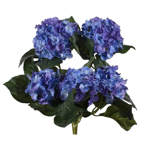 Hydrangea - Bloomr