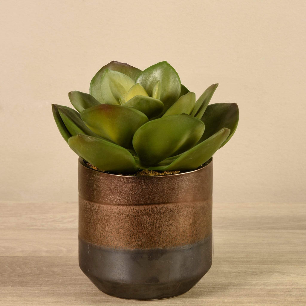 Artificial Potted Succulent - Bloomr