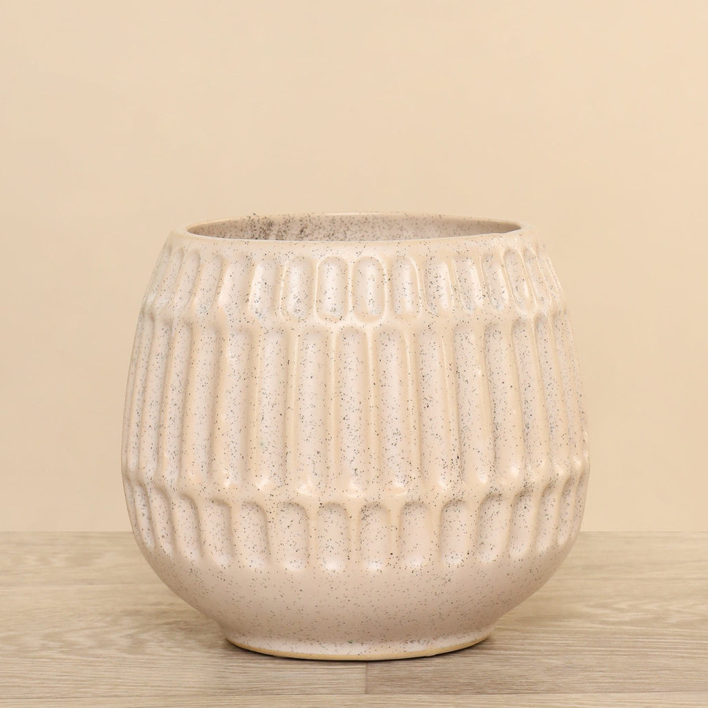 Ceramic Vase - Bloomr