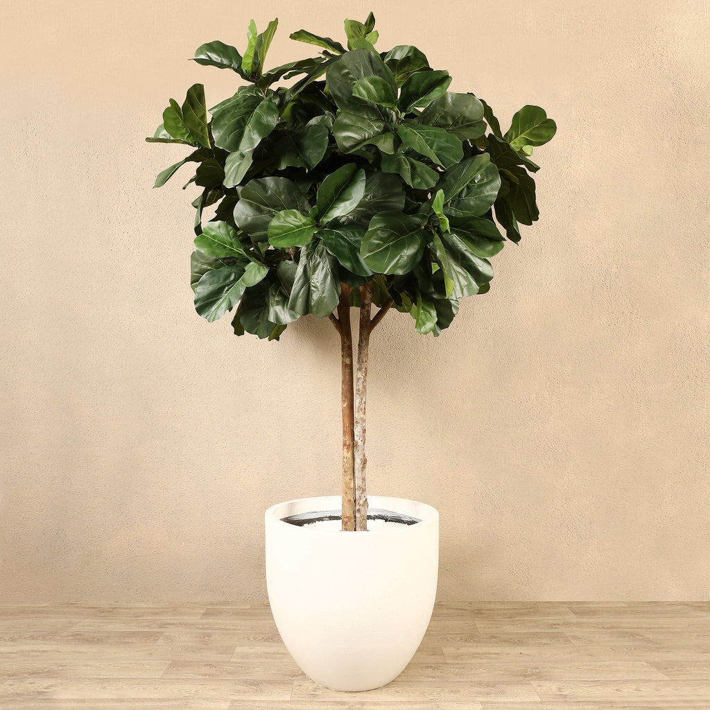 Artificial Fiddle Leaf Tree <br> 270cm - Bloomr