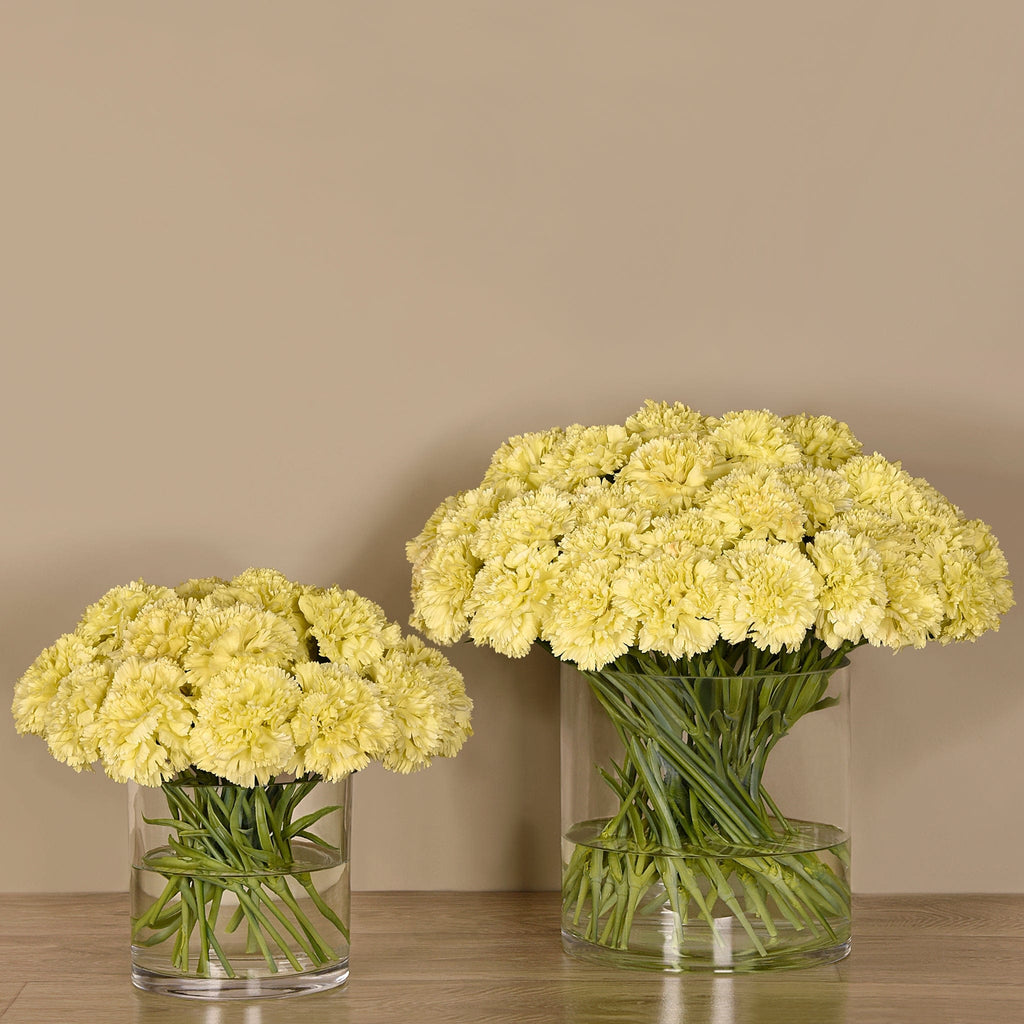 Carnation Arrangement in Glass Vase - Bloomr