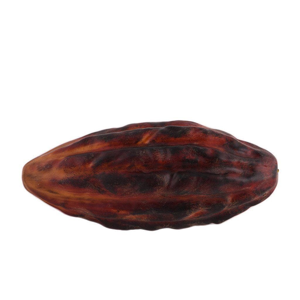 Cacao Fruit - Bloomr