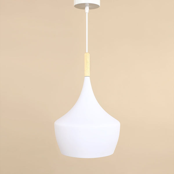 Pendant Lamps - Bloomr