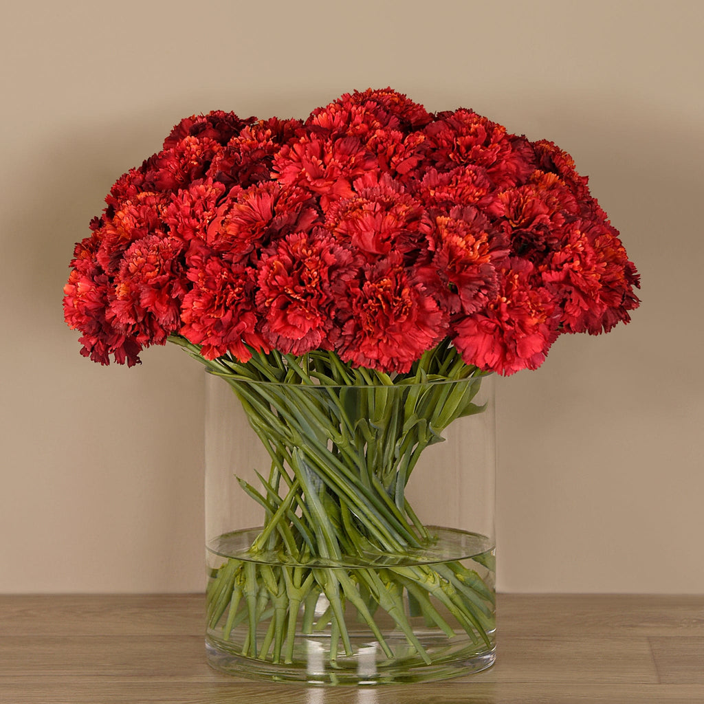 Carnation Arrangement in Glass Vase - Bloomr