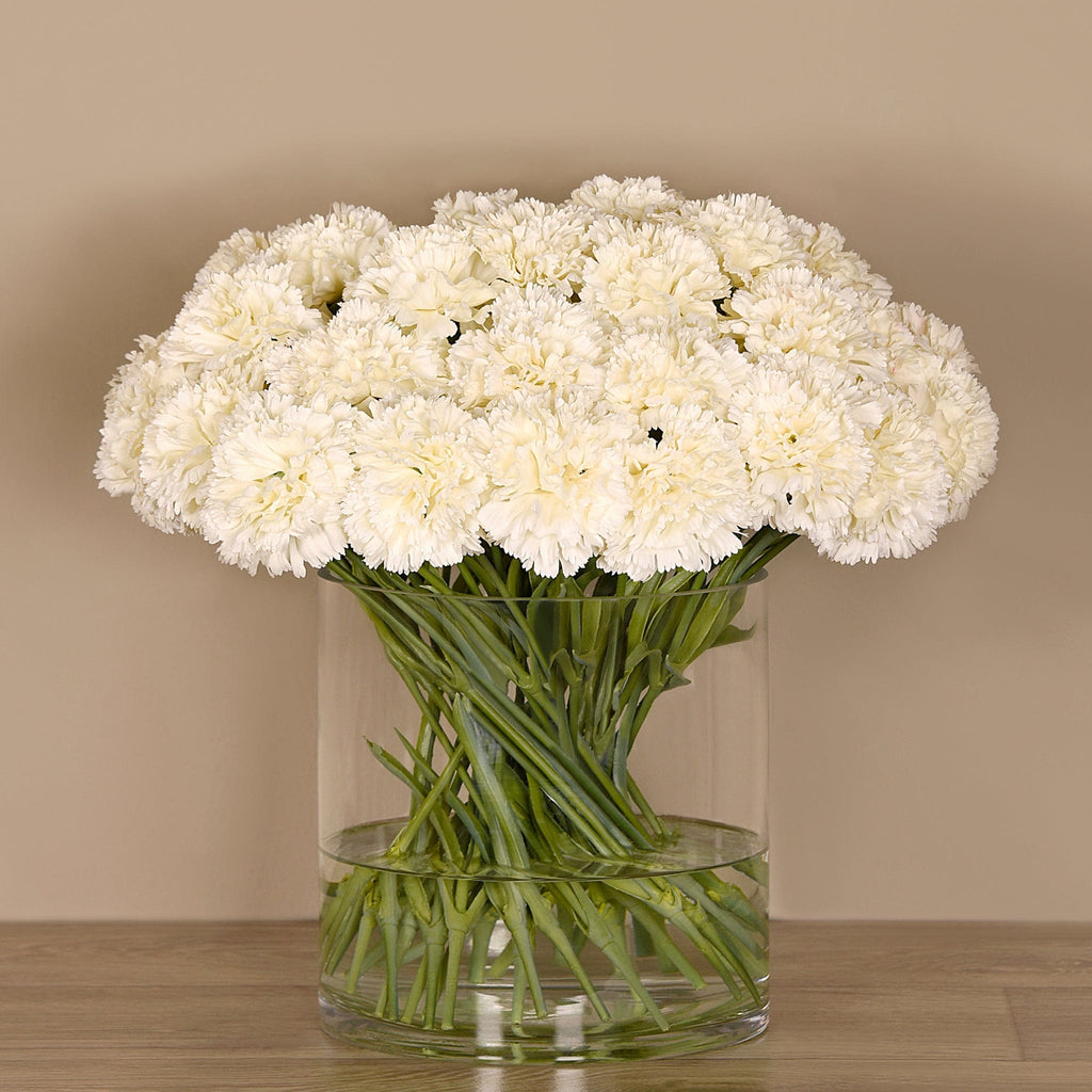 Carnation Arrangement in Glass Vase - Bloomr