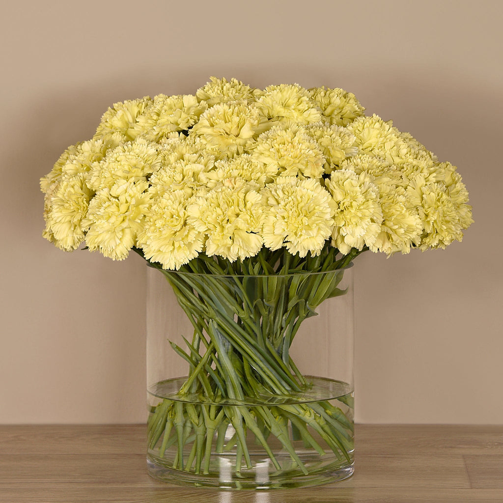 Carnation Arrangement in Glass Vase - Bloomr