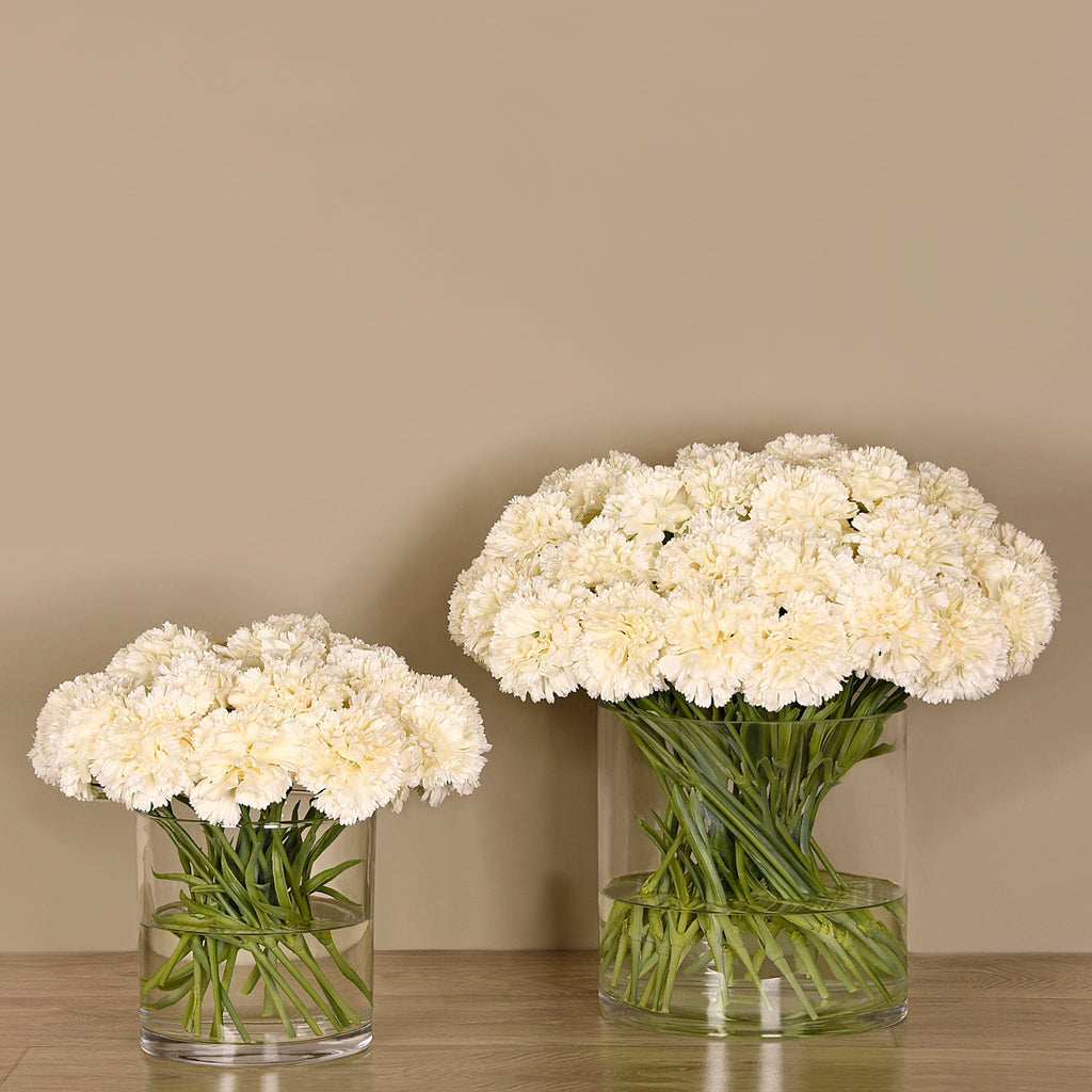 Carnation Arrangement in Glass Vase - Bloomr