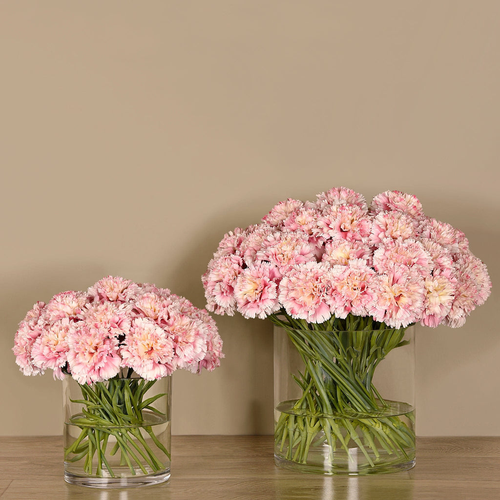 Carnation Arrangement in Glass Vase - Bloomr