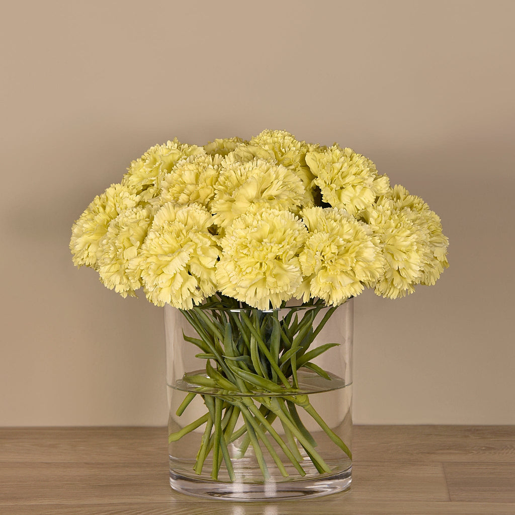 Carnation Arrangement in Glass Vase - Bloomr